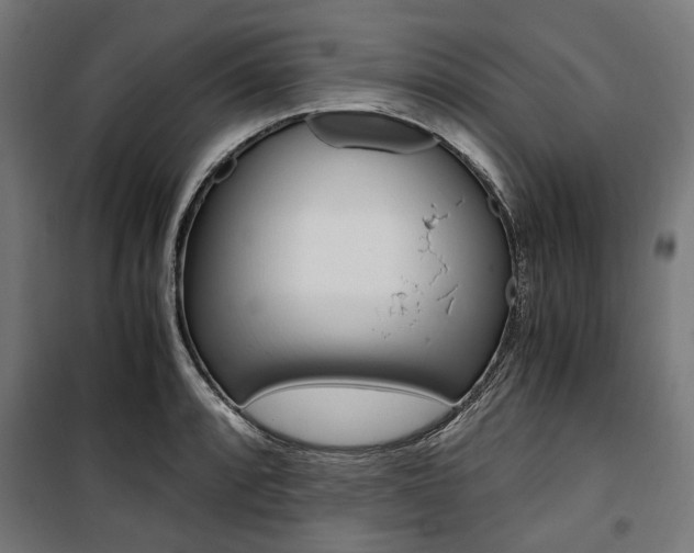 X0000100881088200806201141