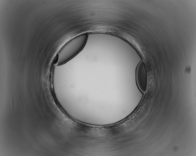X0000100881091200806201141