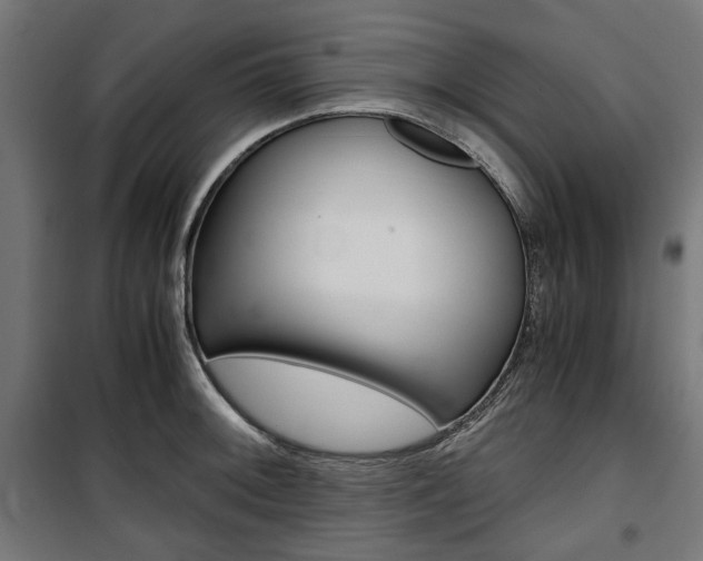 X0000100881092200806201141
