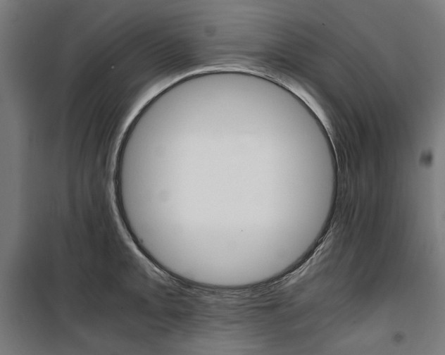 X0000100881093200806201141