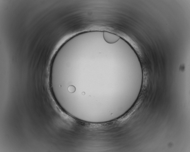 X0000100881094200806201141