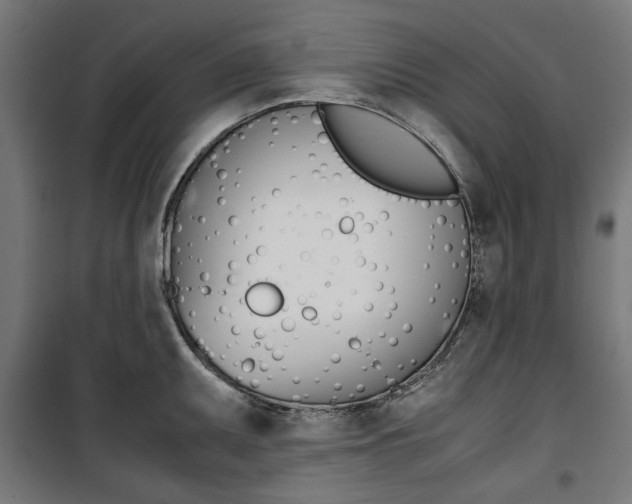 X0000100881095200806201141