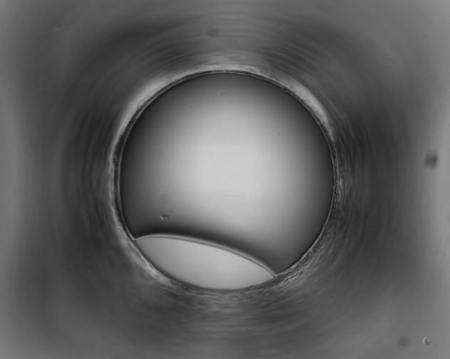 X0000100881096200806201141