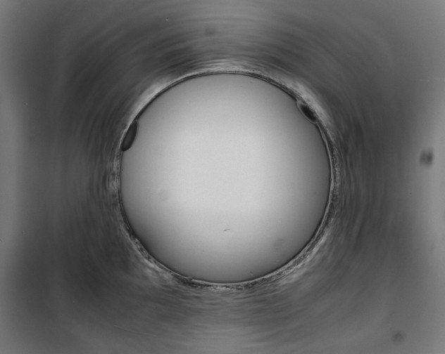X0000100881097200806201141