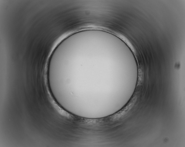X0000100881098200806201141