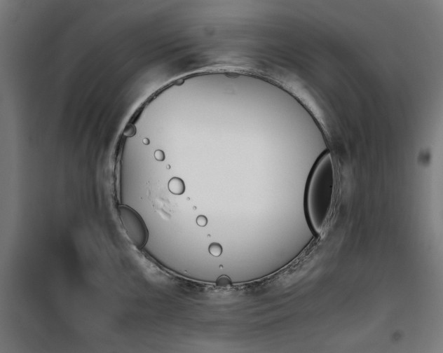 X0000100881099200806201141