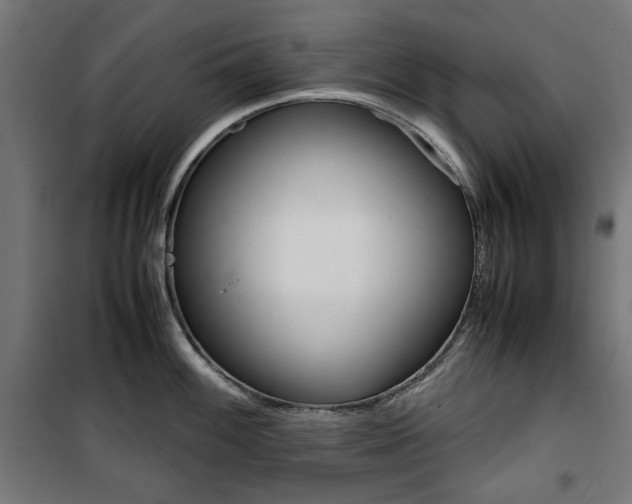 X0000100881100200806201141