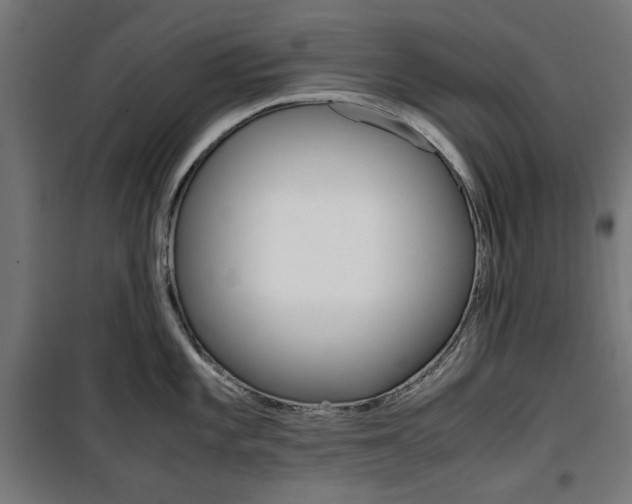 X0000100881101200806201141