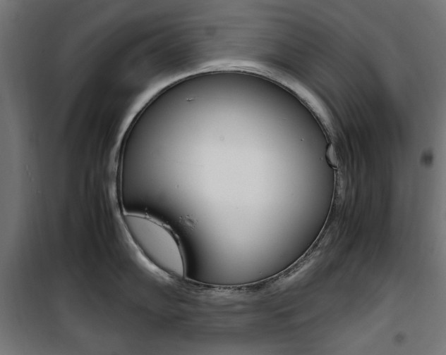X0000100881102200806201141