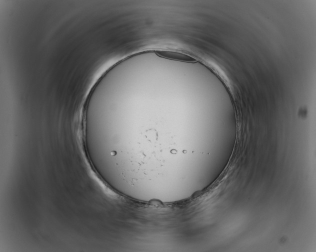 X0000100881103200806201141