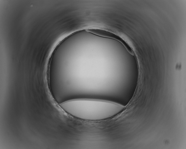 X0000100881104200806201141