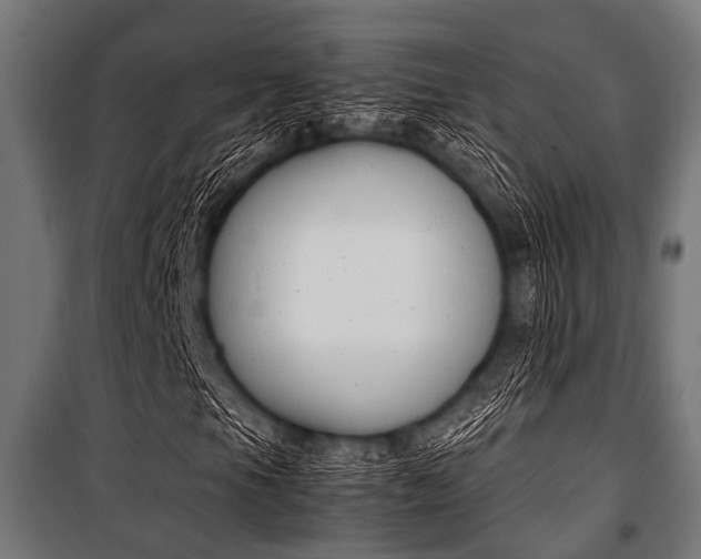 X0000100881105200806201140