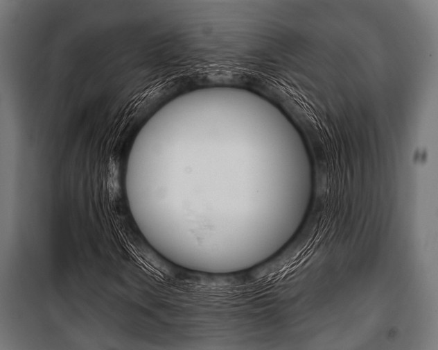 X0000100881106200806201140