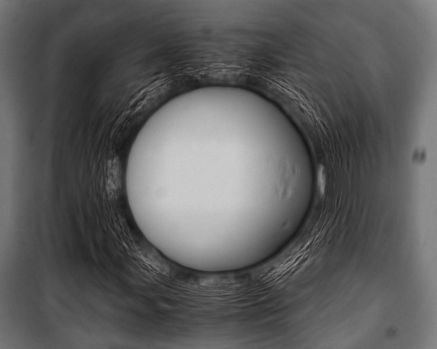 X0000100881107200806201140