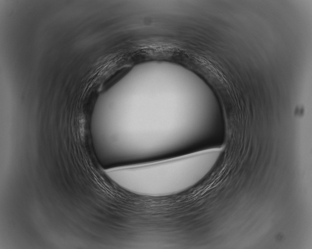 X0000100881108200806201140