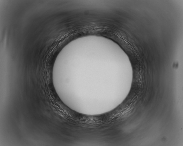 X0000100881109200806201140