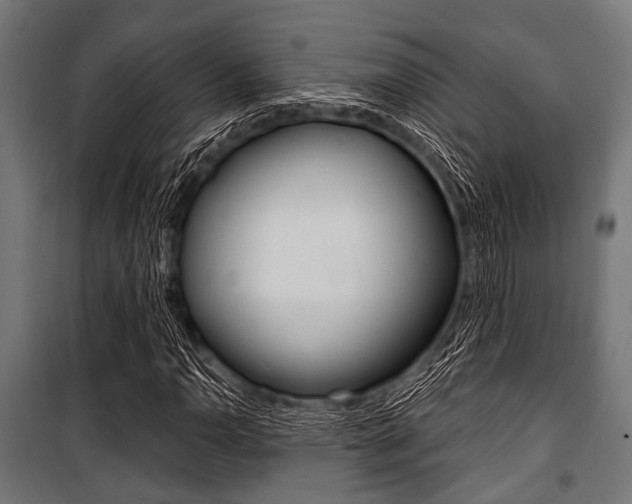 X0000100881110200806201140