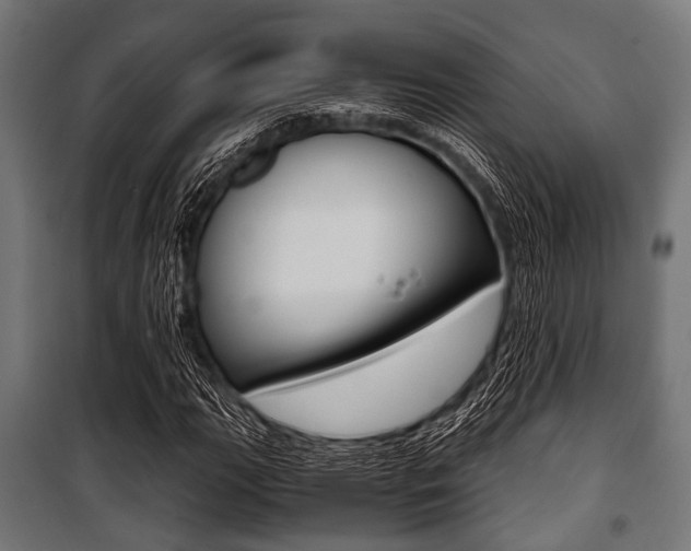 X0000100881111200806201140