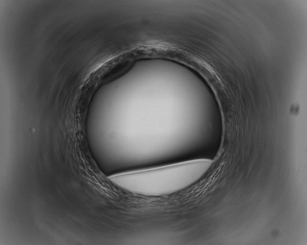 X0000100881112200806201140