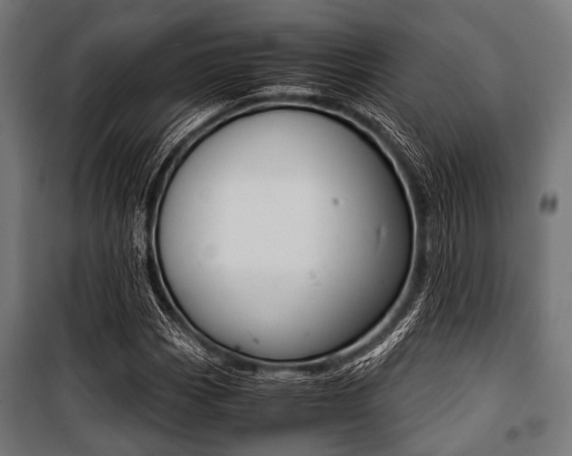 X0000100881113200806201140