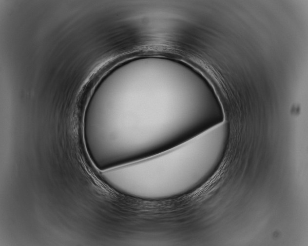 X0000100881115200806201140