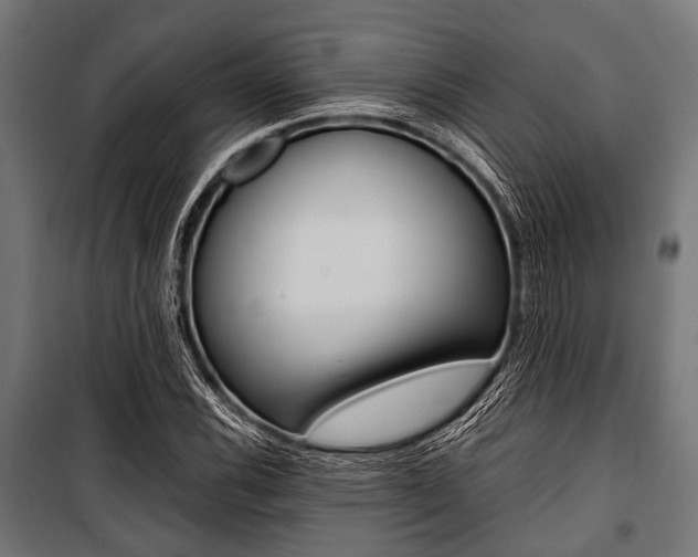 X0000100881116200806201140