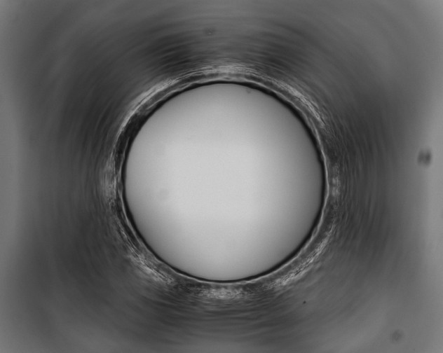 X0000100881117200806201140