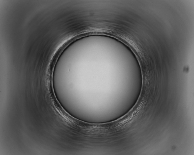 X0000100881119200806201140