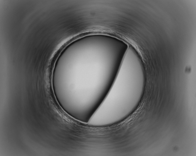 X0000100881120200806201140
