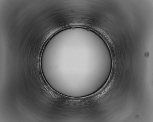 X0000100881121200806201140