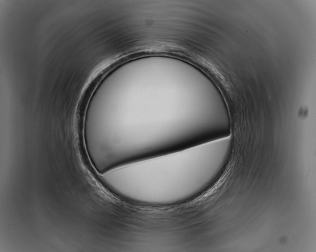 X0000100881122200806201141
