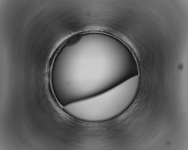 X0000100881124200806201141