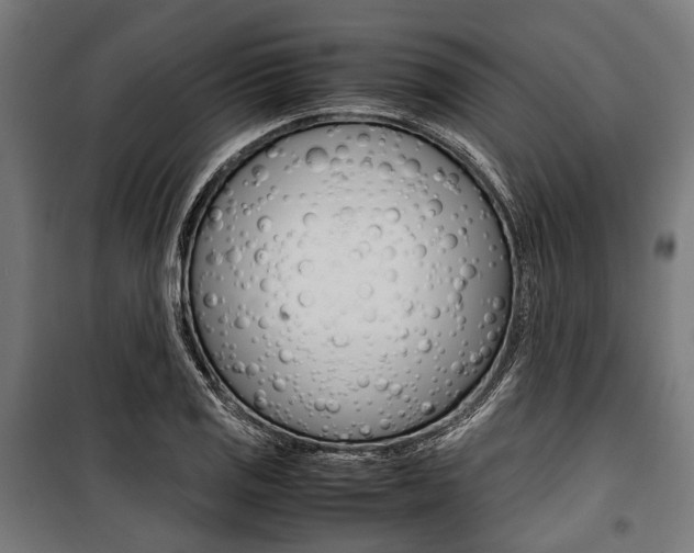 X0000100881125200806201141