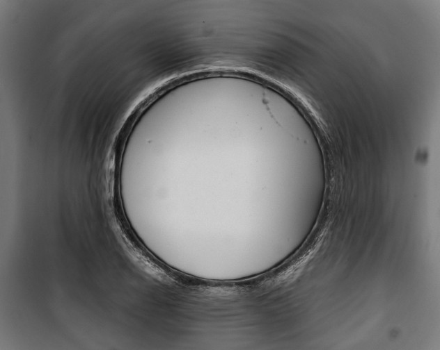 X0000100881126200806201141