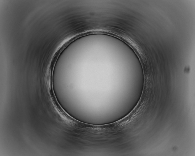 X0000100881127200806201141