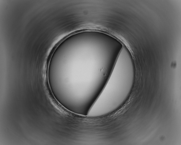 X0000100881128200806201141