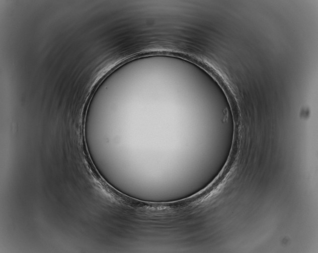 X0000100881129200806201141