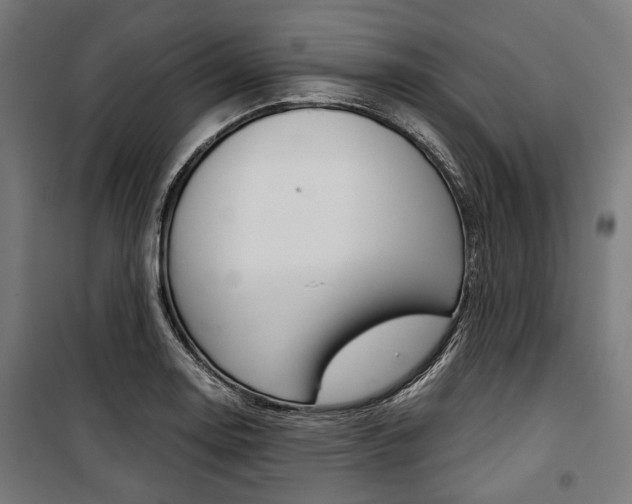 X0000100881130200806201141