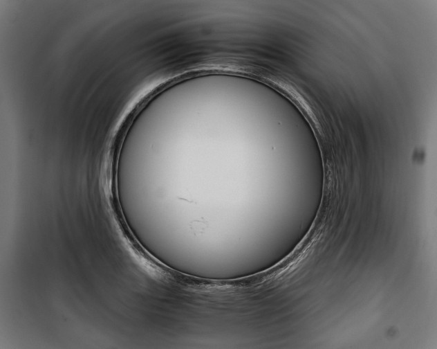 X0000100881131200806201141
