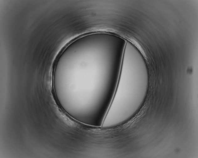X0000100881132200806201141