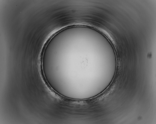 X0000100881133200806201141