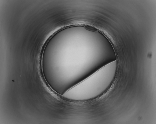 X0000100881134200806201141