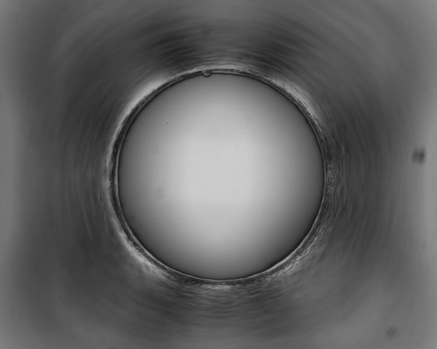 X0000100881135200806201141