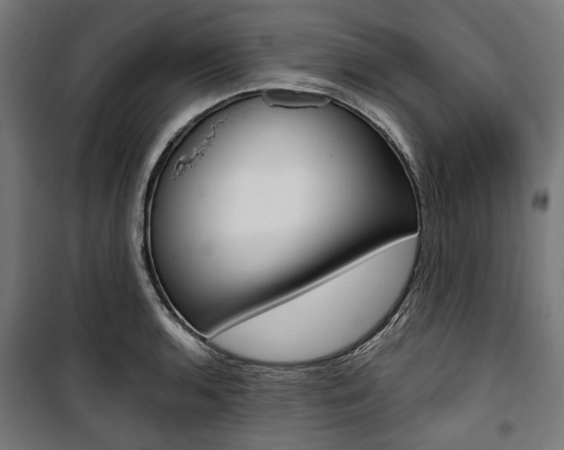 X0000100881136200806201141