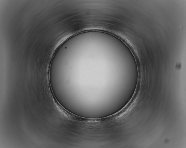 X0000100881137200806201141