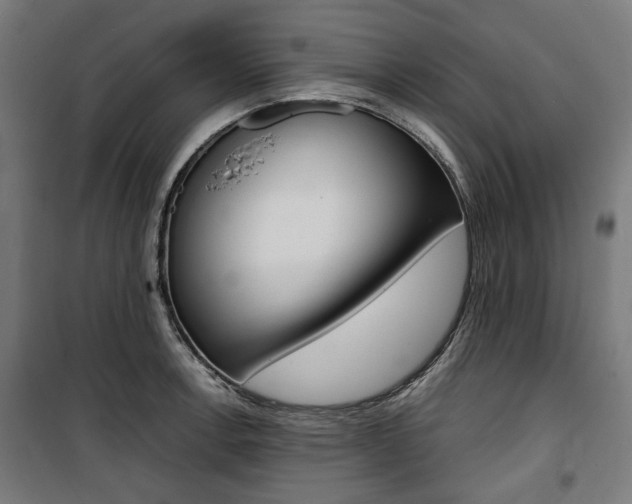 X0000100881138200806201141