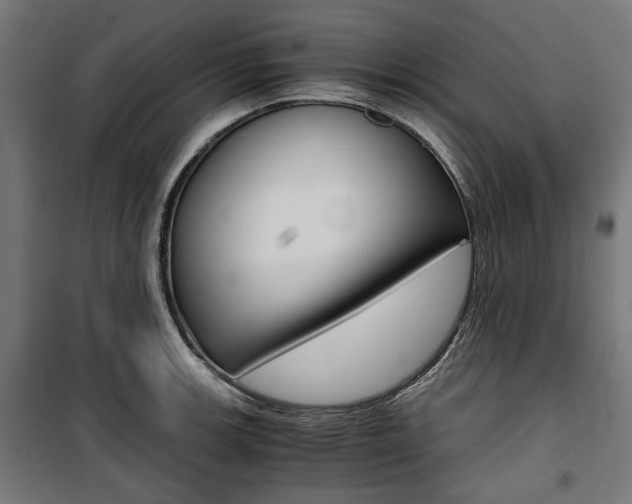 X0000100881139200806201141