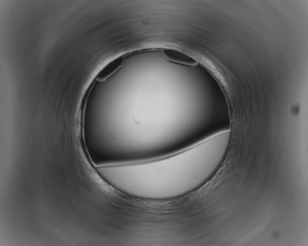 X0000100881140200806201141