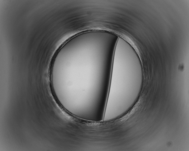 X0000100881141200806201141