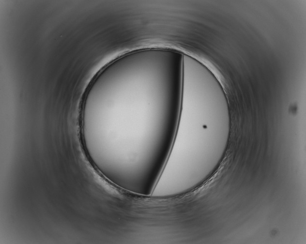 X0000100881142200806201141